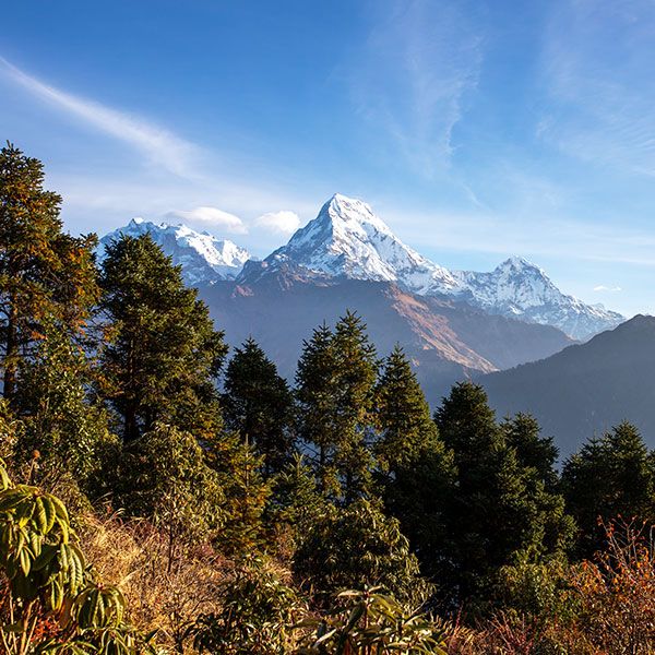 Best Travel Agency in Nepal